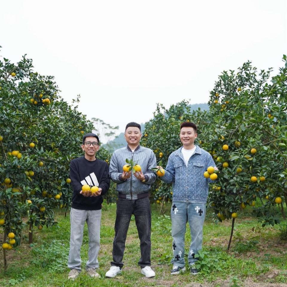 Ba thành viên 3 Ông Bố Đảm tại vườn cam